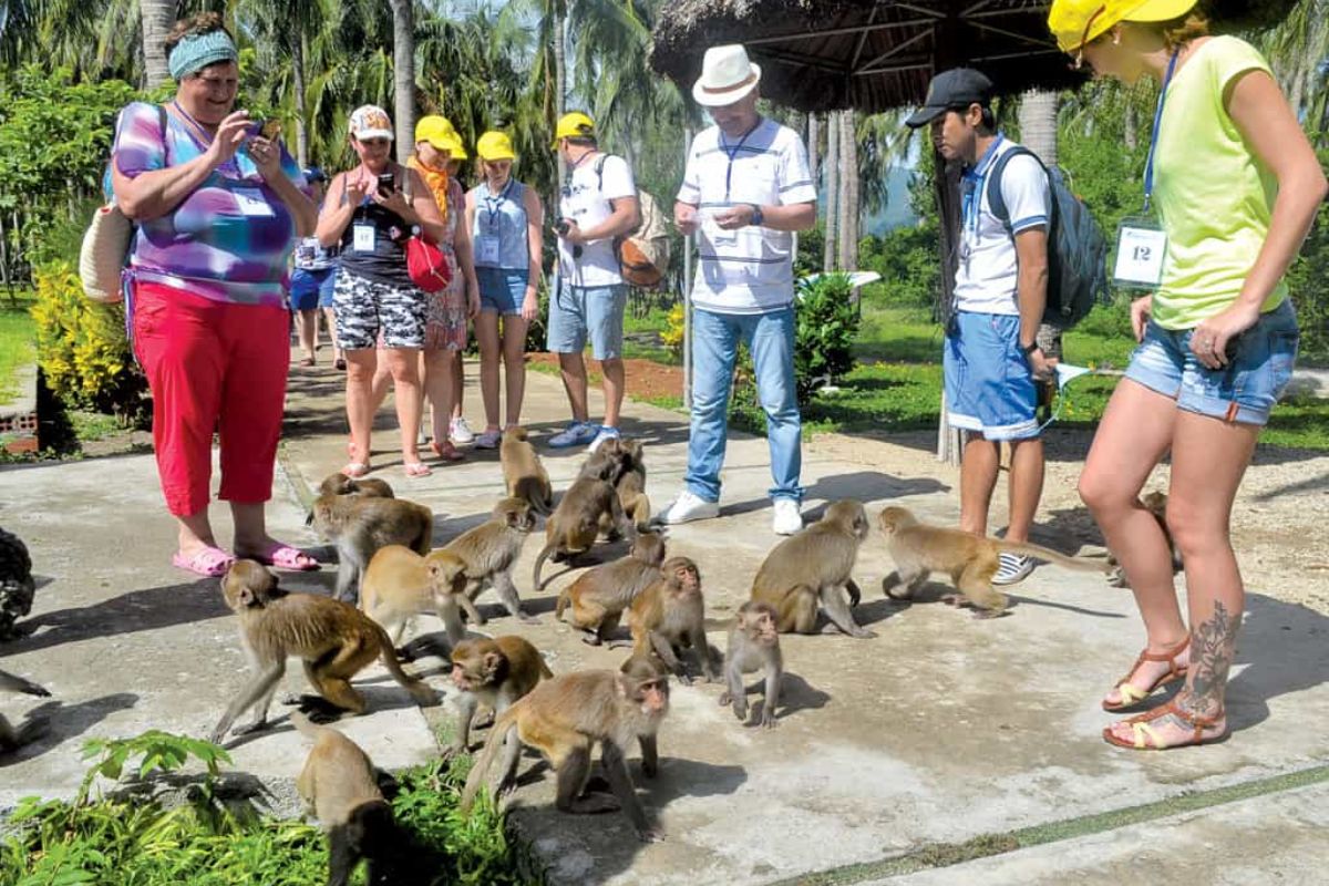 Monkey Island Vietnam (Hon Lao)