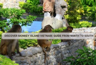 Monkey Island Vietnam