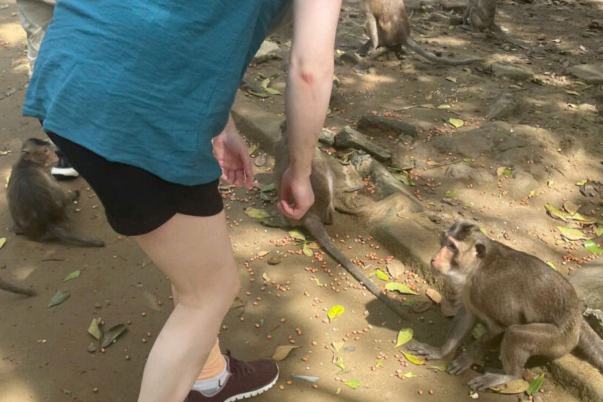 Monkey Island Can Tho