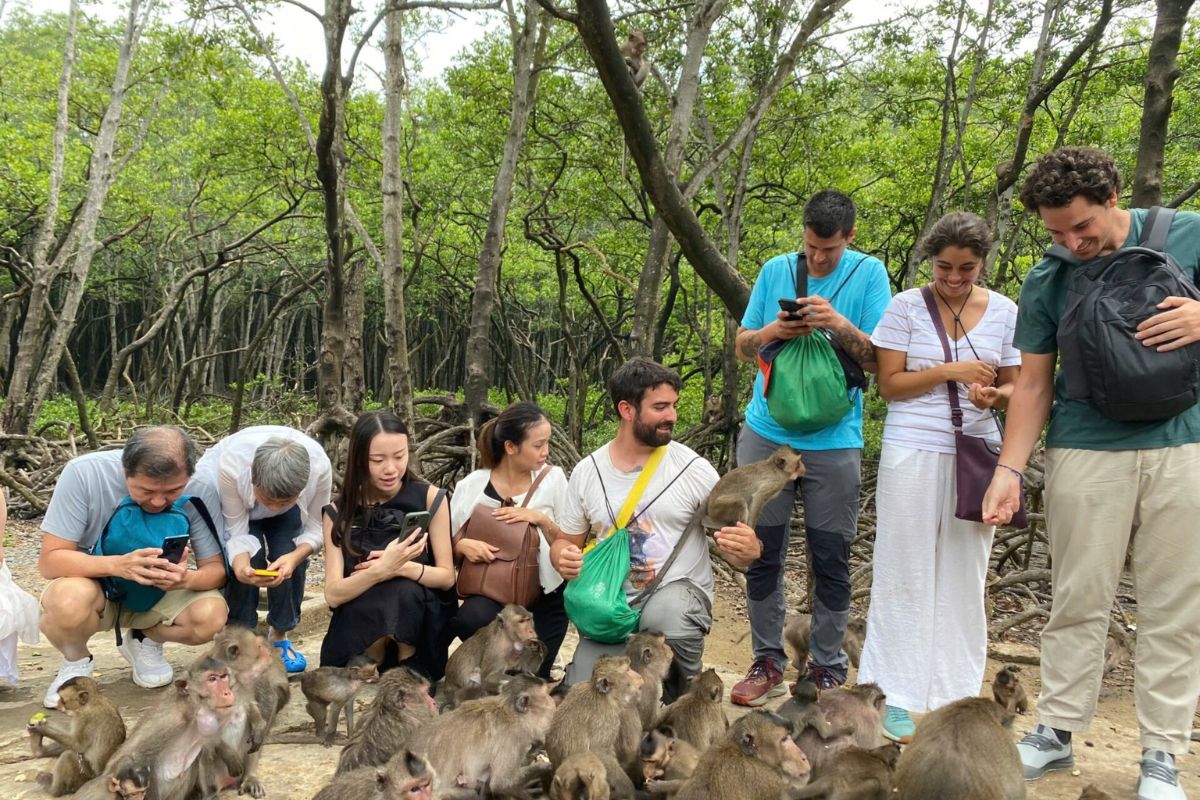 Meet the Monkey Troop