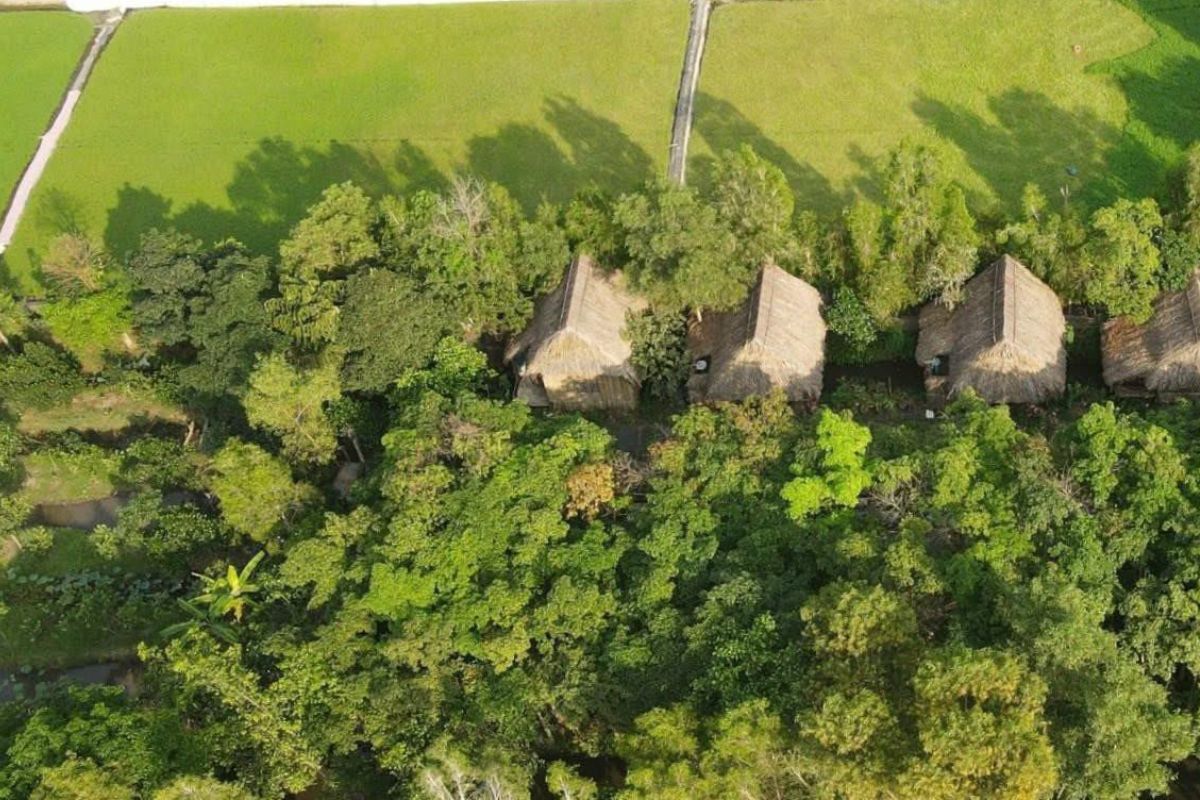 Tam Nong Farm in District 