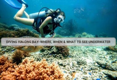 Diving Halong Bay