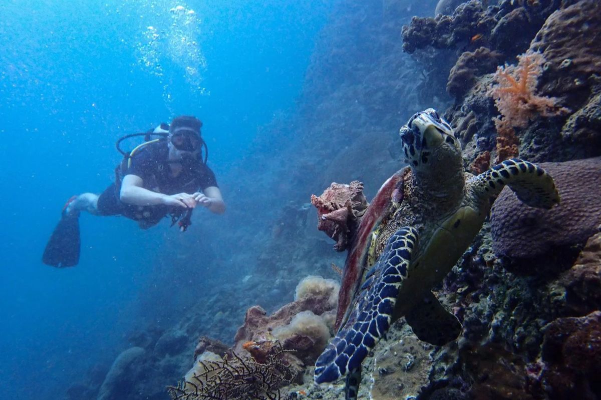 Diving At Pileh Lagoon  with Diving Tours Thailand