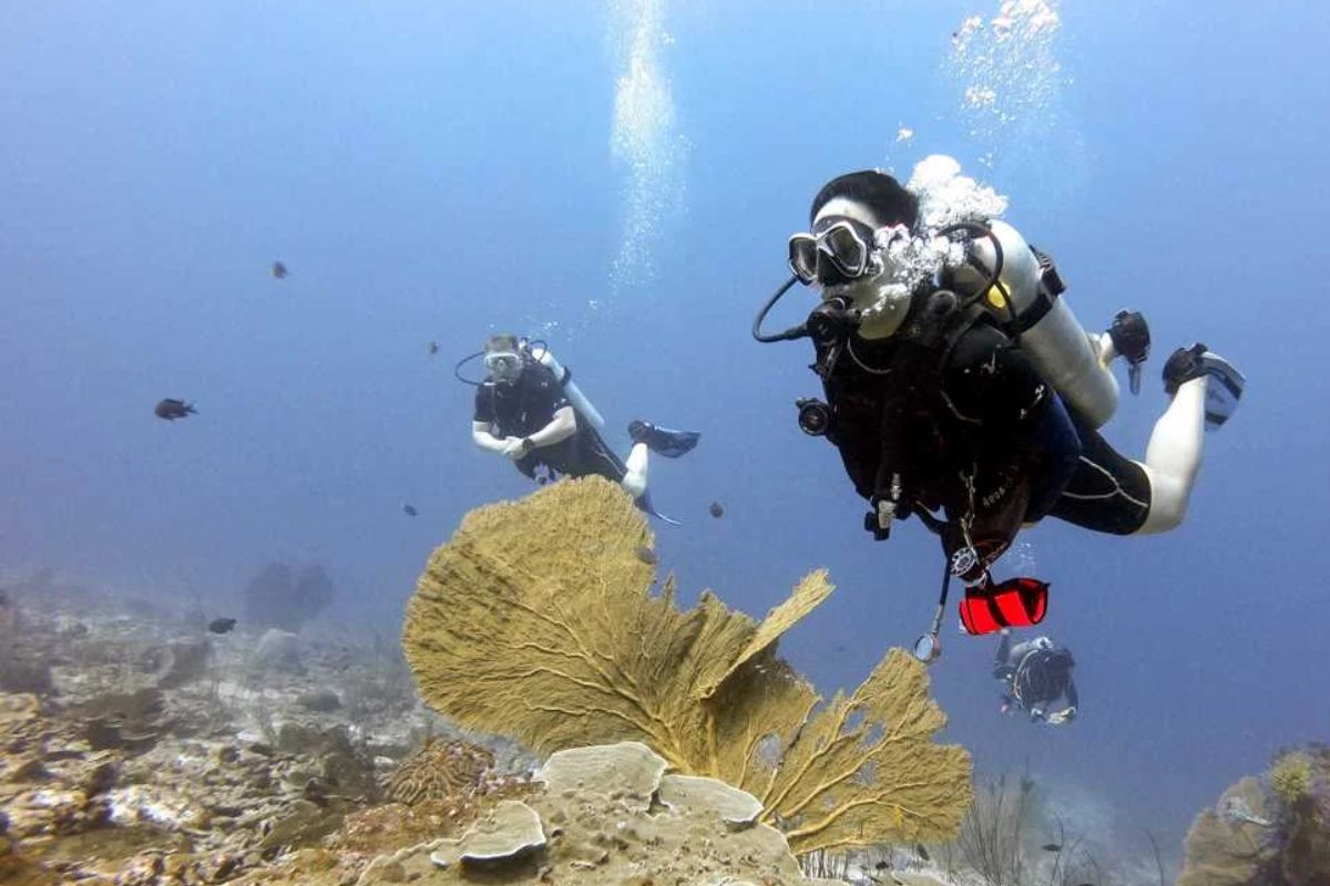 Dive At West of Eden - Diving Tours Thailand