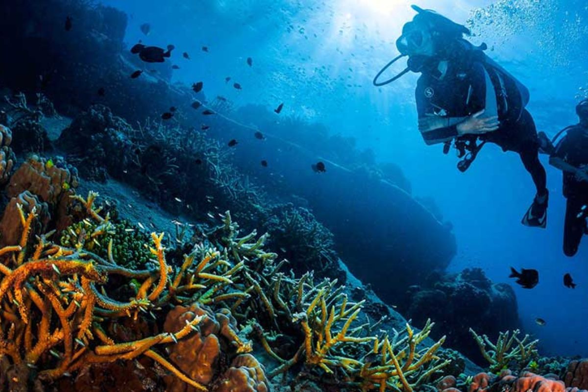 Koh Talu - Diving Tours Thailand