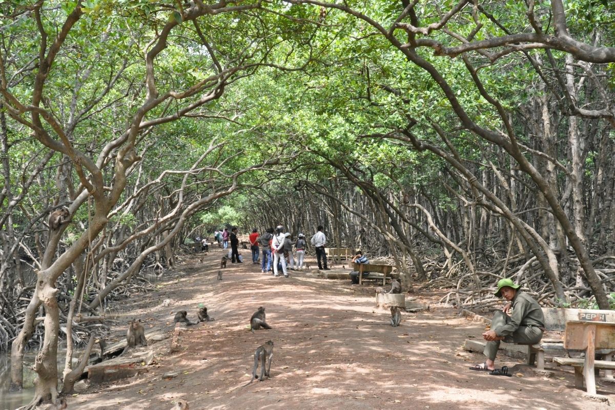  Discover Can Gio Beach Vietnam with Monkey Island 