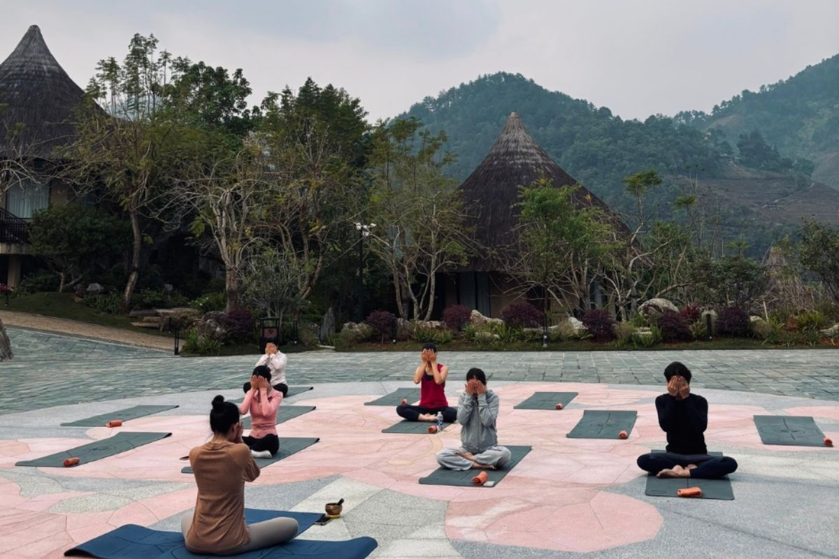 Yoga & Meditation