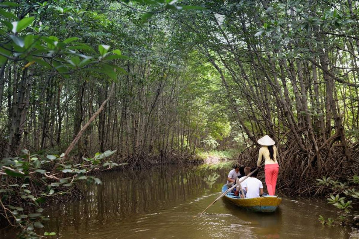 Can Gio Mangrove Forest