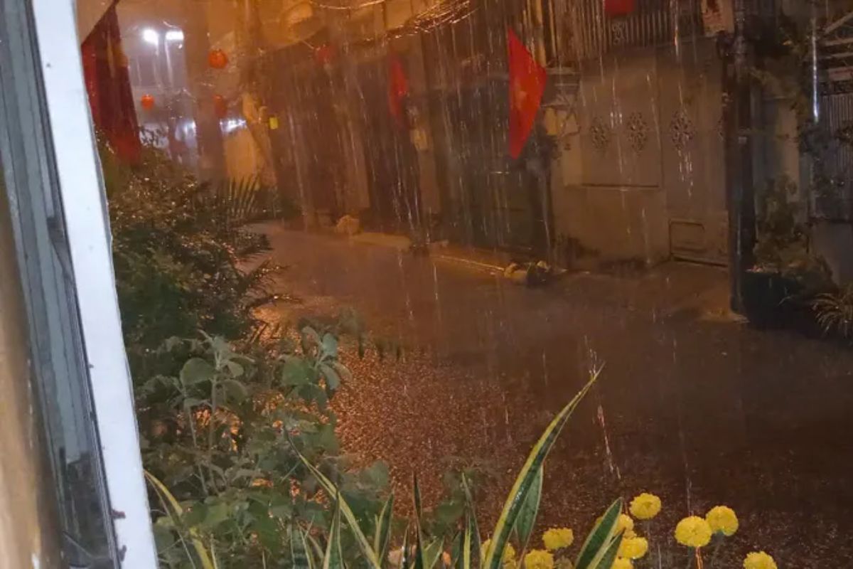 Rainy September, Streets Bloom With Flags.