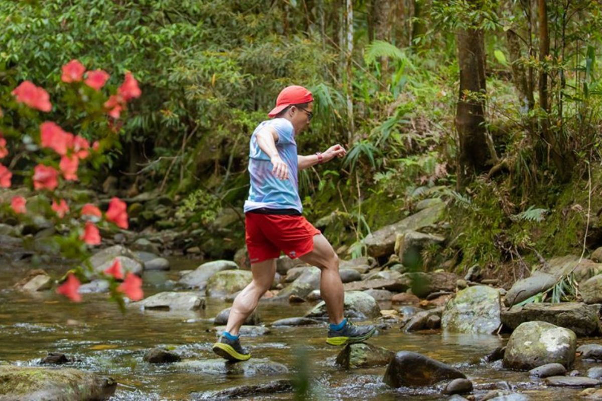Trek Through Bach Ma National Park