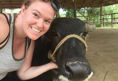 Buffalo Dairy Farm