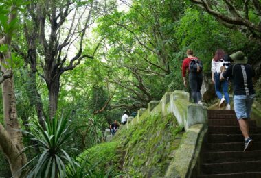Climb Up To The Mount Phousi
