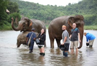 Elephant Village Camp