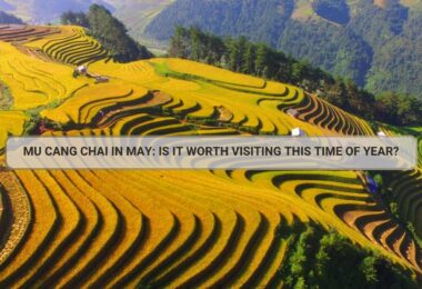 Mu Cang Chai in May