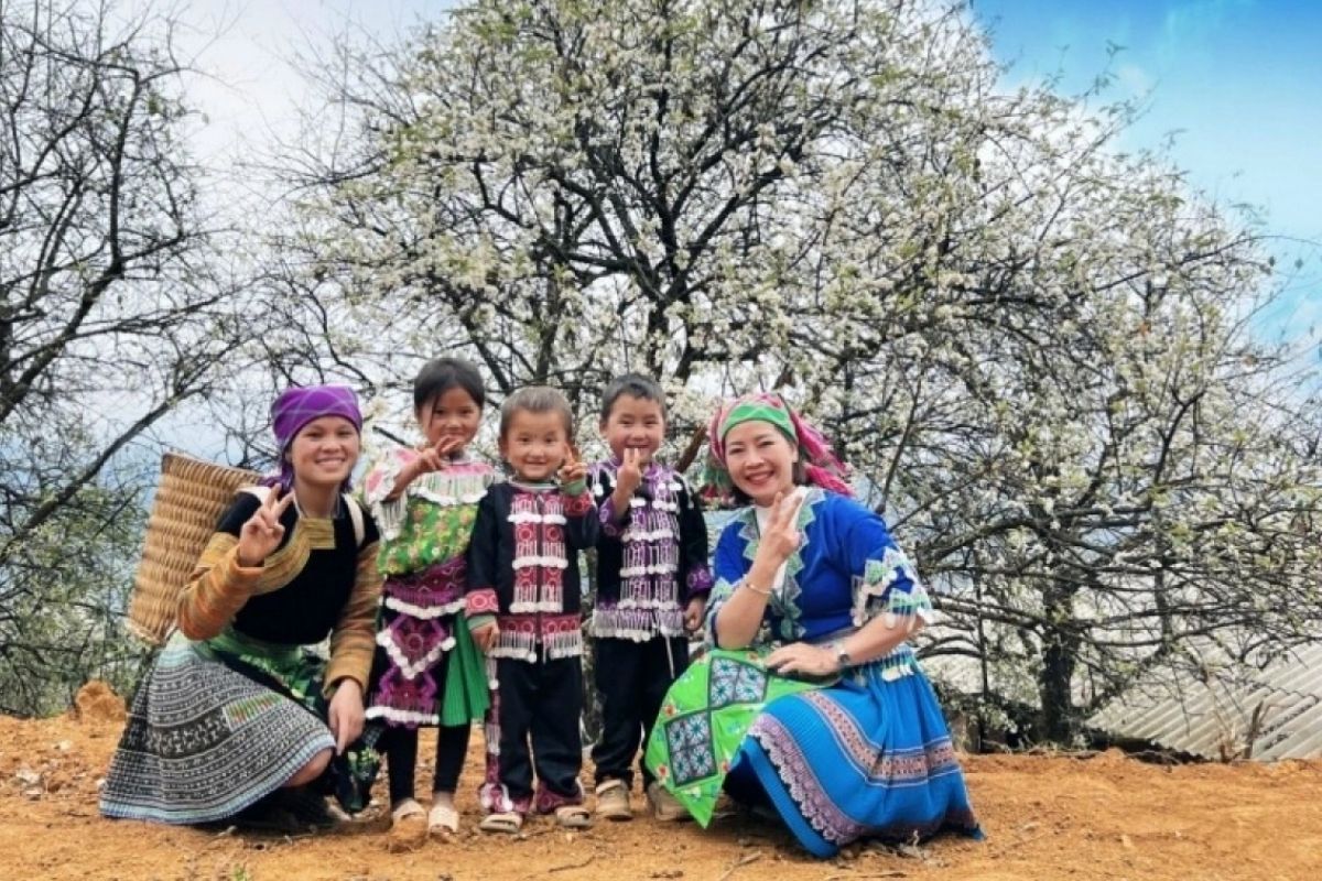 White Blossoms at Lung Cung Village - Mu Cang Chai with White Flower