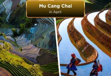 Mu Cang chai on april (1)