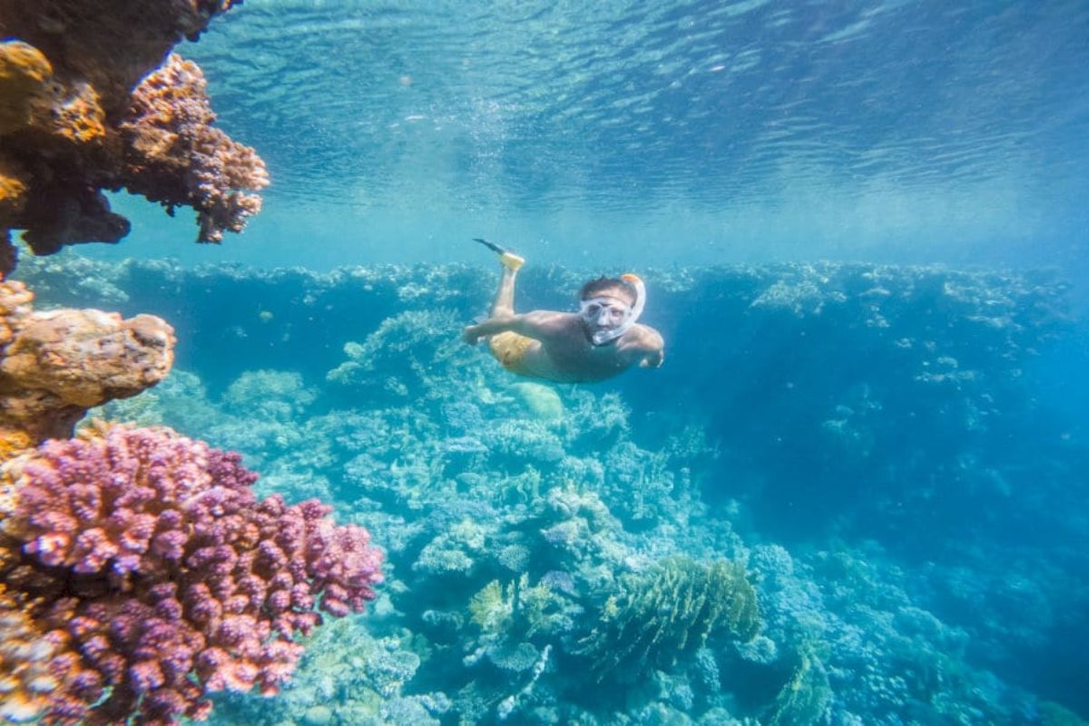 Coral Diving in the An Thoi 
