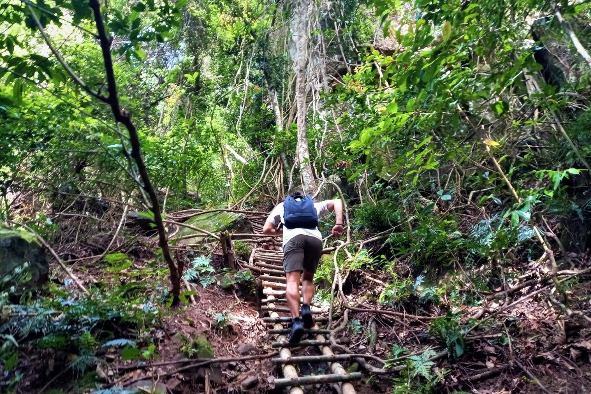 Trekking in Phu Quoc National Park - Phu Quoc Travel in April