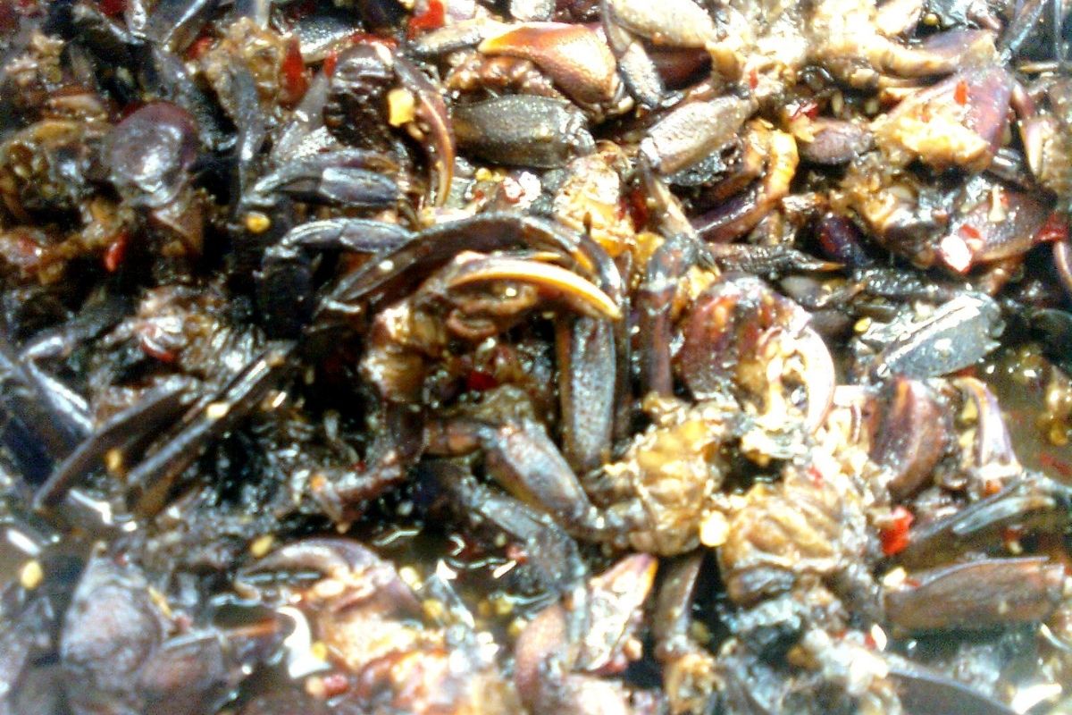 Whole Pickled Field Crabs - Lao Papaya Salad