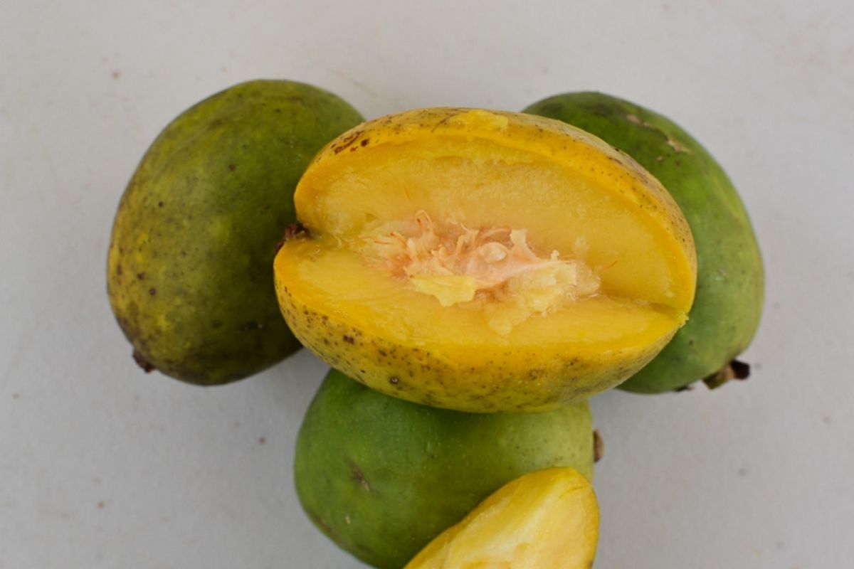 Lao Plum - Lao Papaya Salad