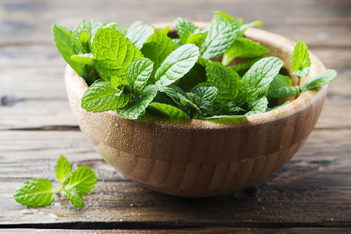Lao Basil or Mint - Lao Papaya Salad