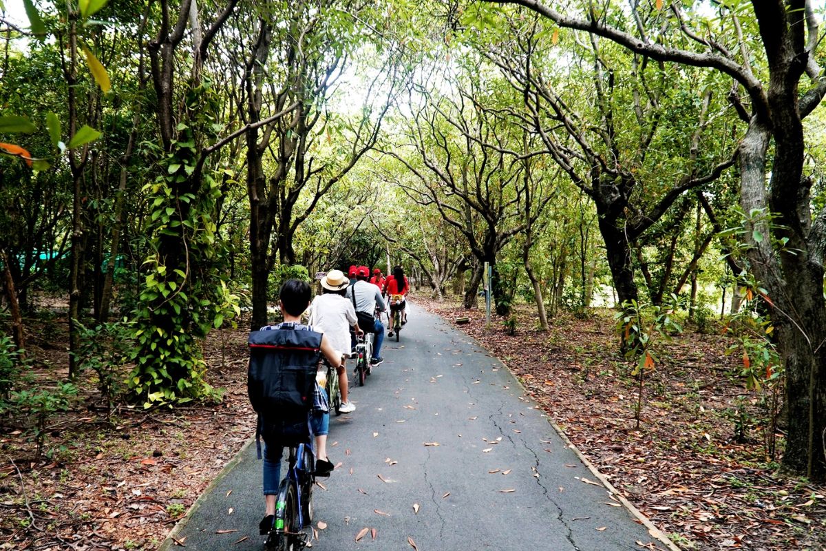 Bicycle Ride Through Bang Kachao