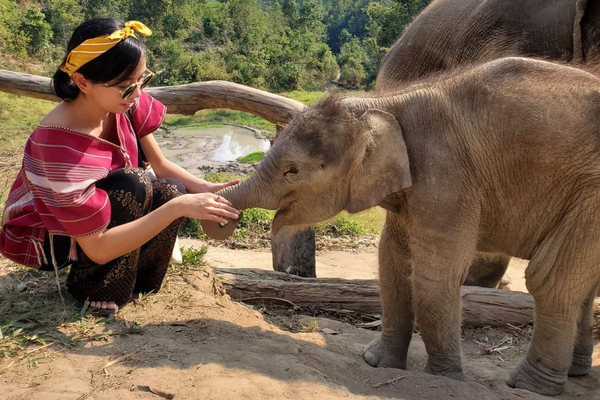 Elephant Sanctuaries