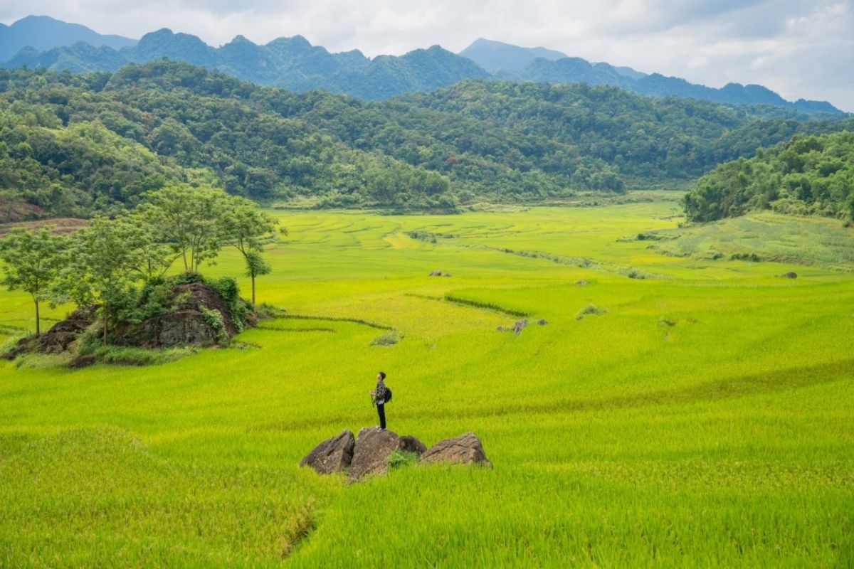 PuLuong Grass Hill - Pu Luong Glamping