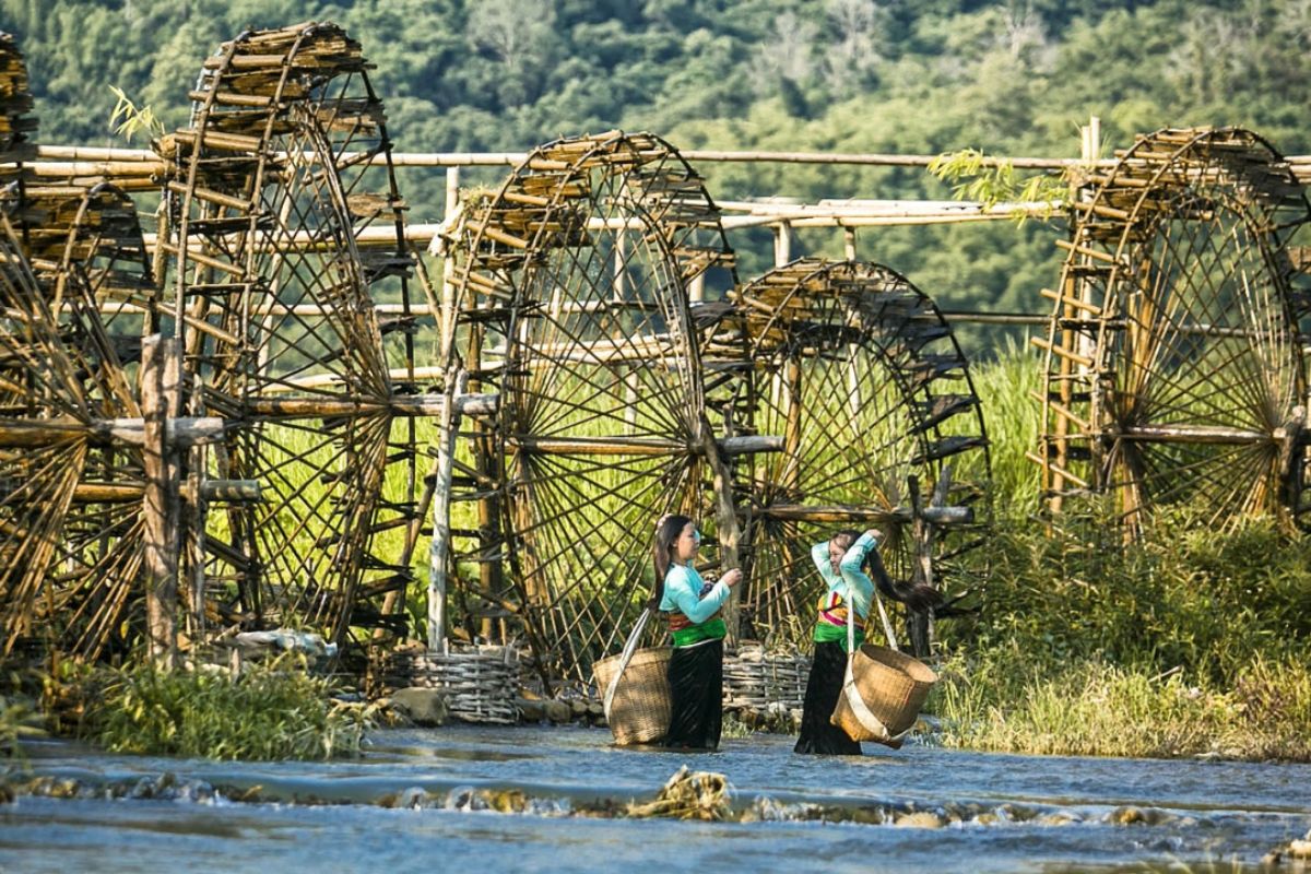 May Turns Emerald With Water Wheels - Pu Luong Weather