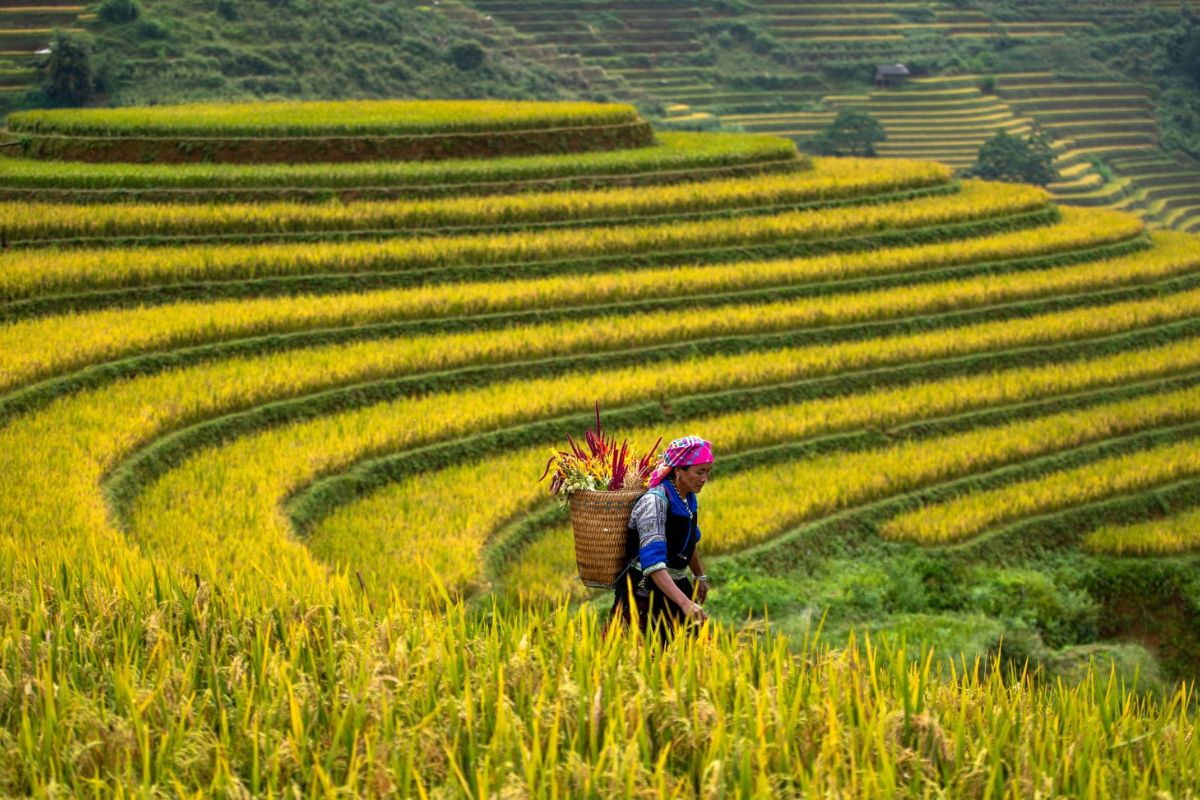 Nature Peaks In October’s Golden Fields