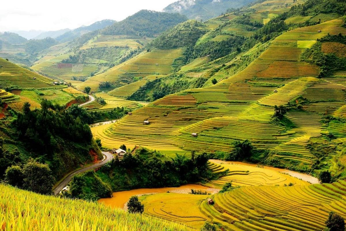 April’s Warm Winds on Terraced Fields - Pu Luong Weather