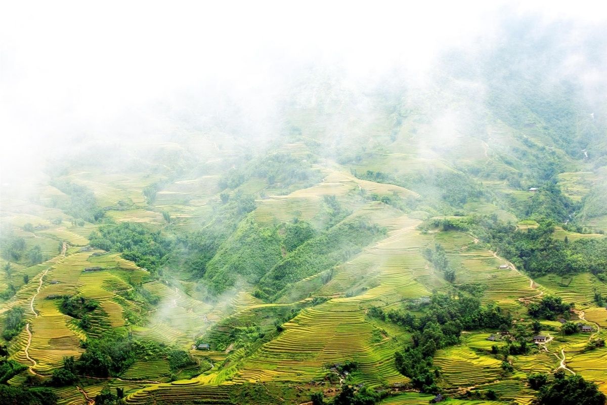 Misty January Terraces in Pu Luong - Pu Luong Weather