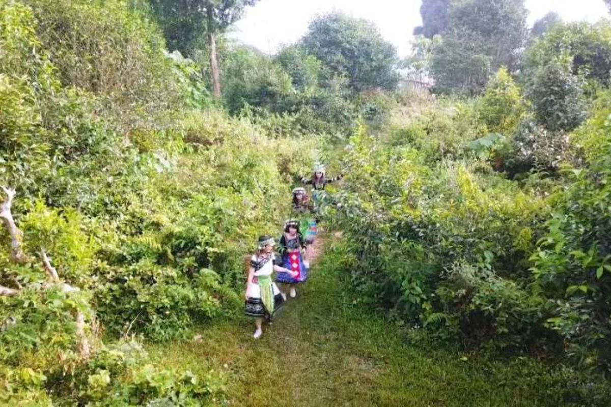 Follow Natural Trails