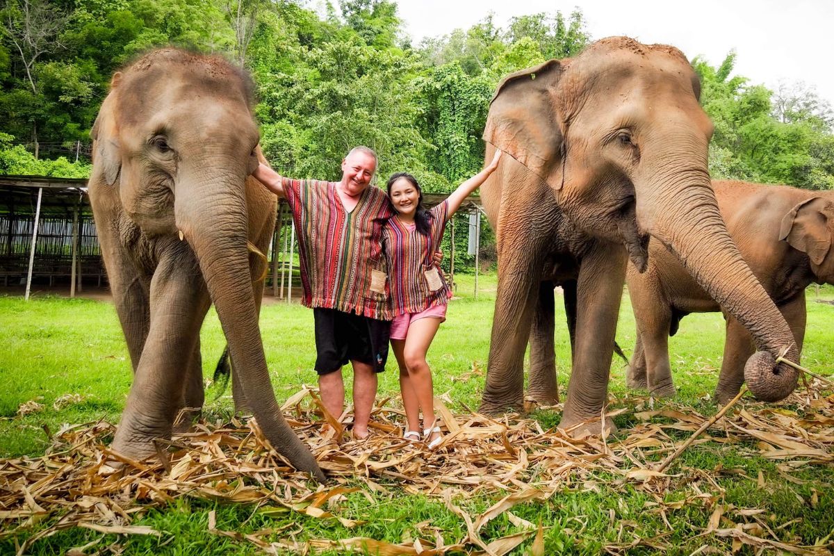 Elephant Sanctuary