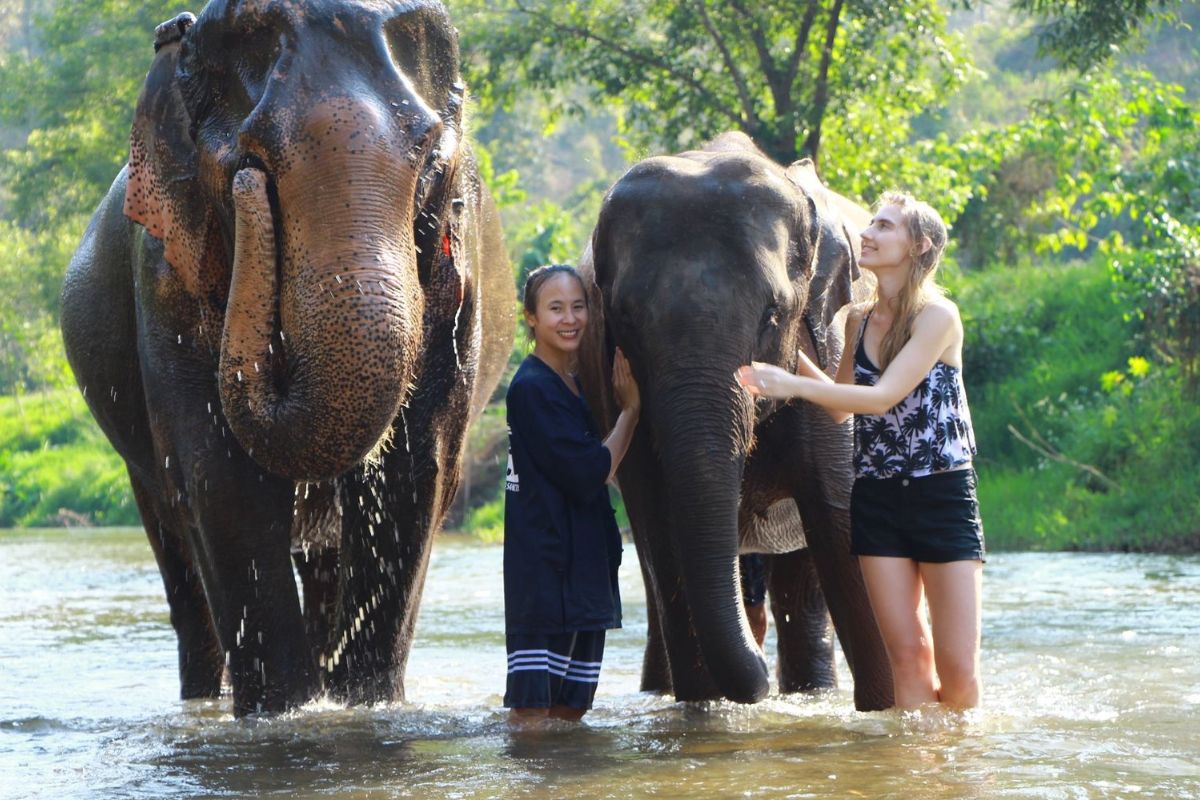 Ethical Elephant Sanctuary