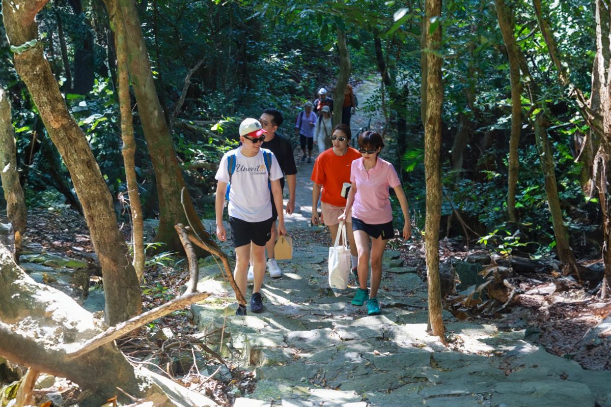 Walk in Con Dao National Park