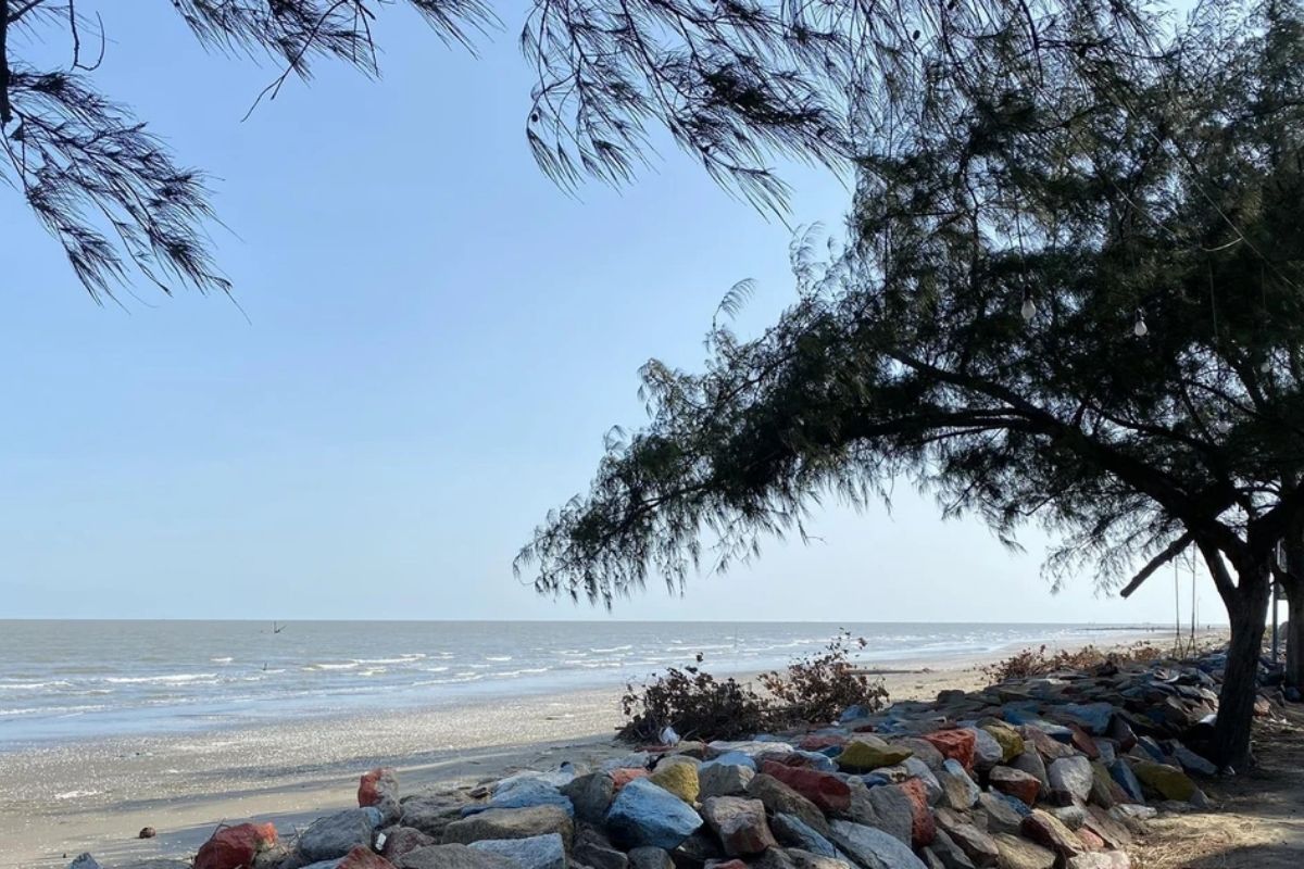 Can Gio Beach - Vietnam Escape Tours
