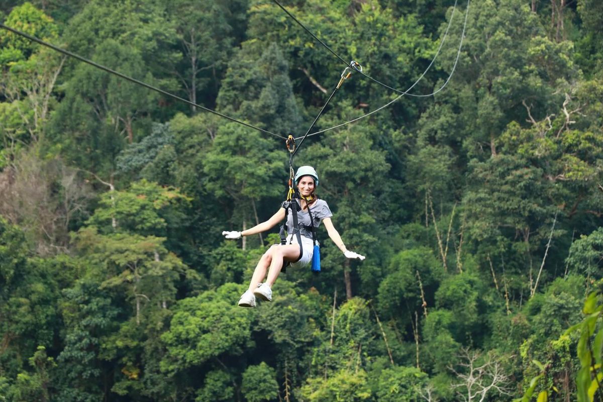 King Kong Smile Zipline
