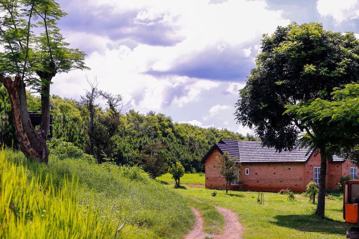 Da Lat Milk Farm