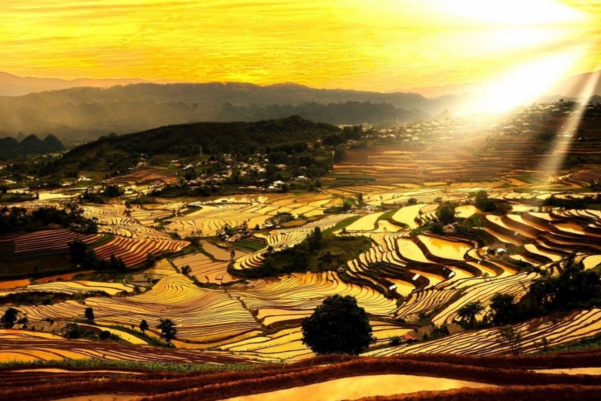 Mu Cang Chai Sunshine In April - Mu Cang Chai In April