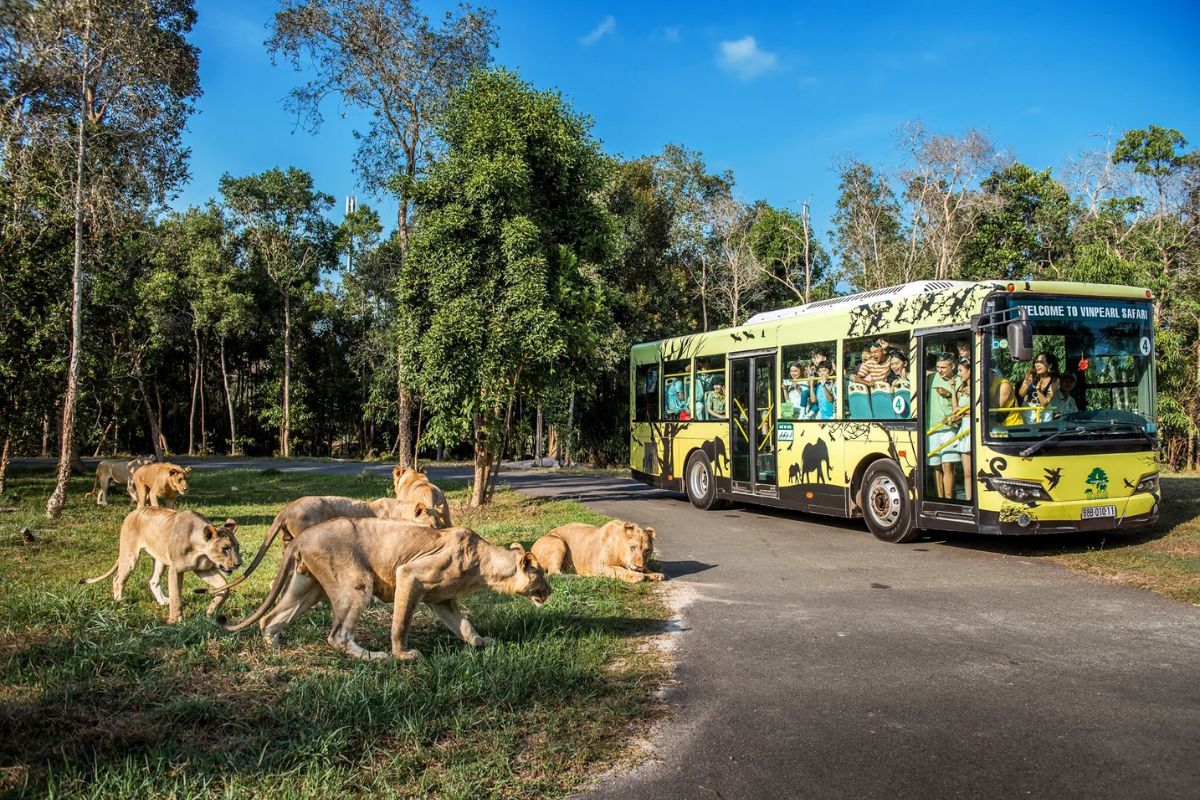 Vinpearl Safari at Phu Quoc Island 