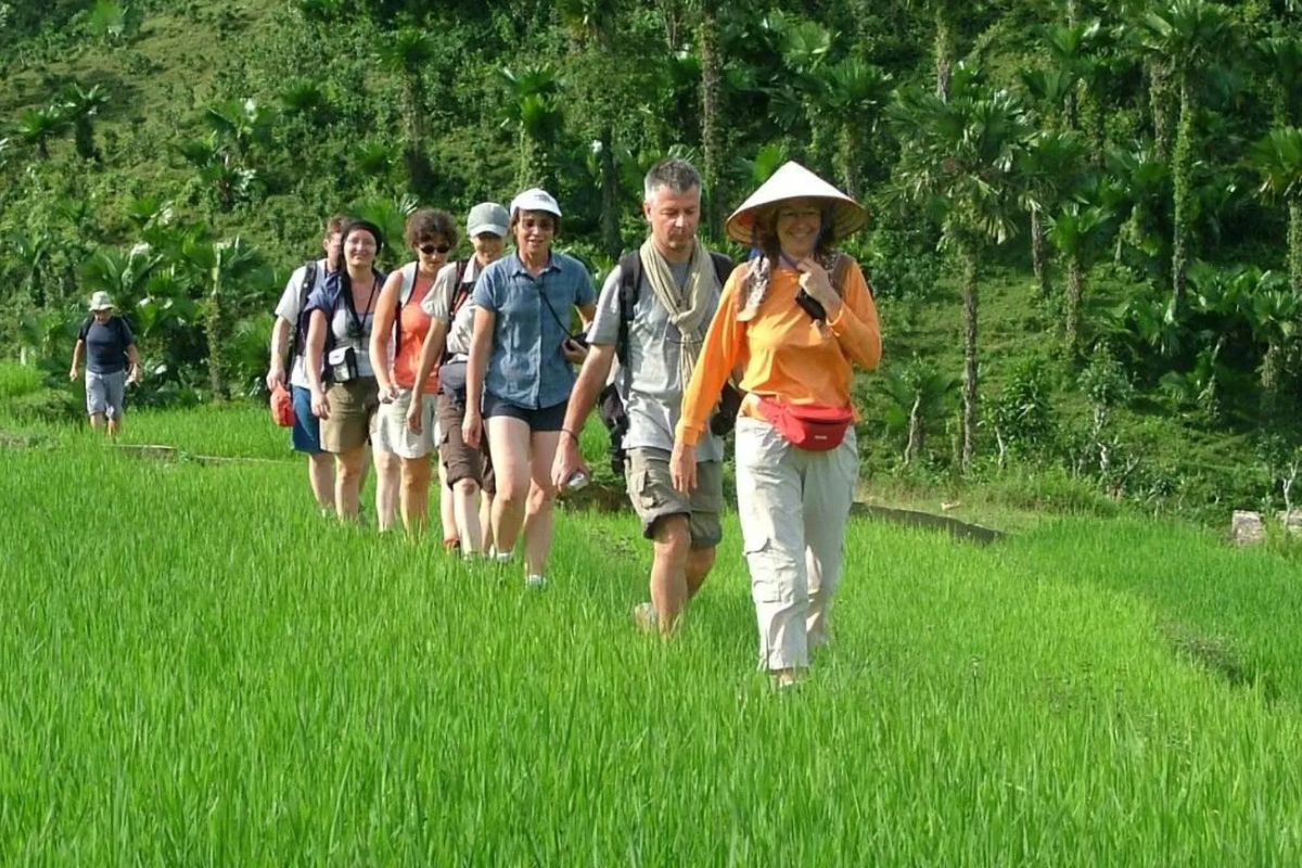 April Walk through Mai Chau Paddies