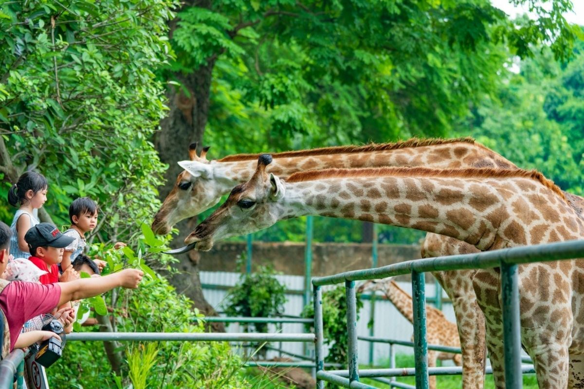 Warm March stroll through Saigon Zoo