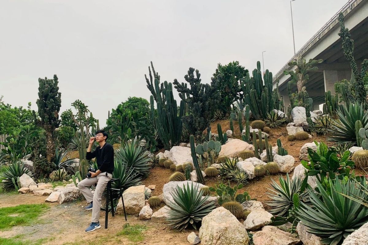 Cactus Garden