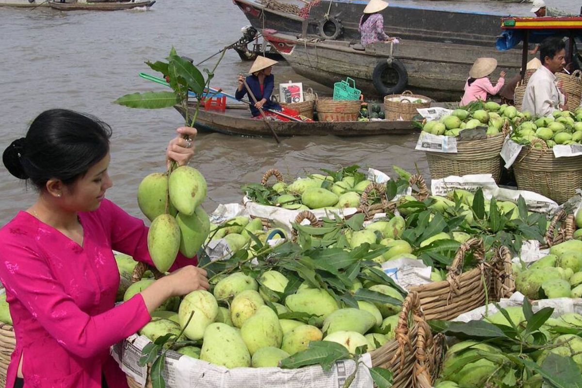 Tropical Fruits at Ca Mau Market 