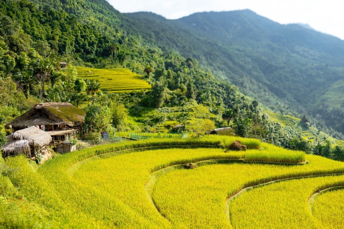 Explore Na Mau, independent trekking Ha Giang