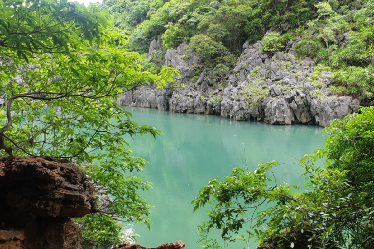 Ho Dong Tien