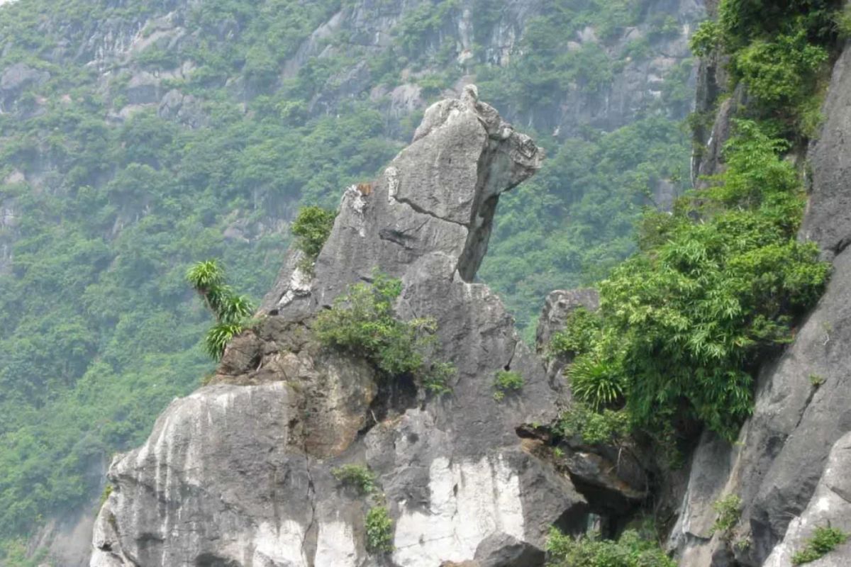 Cho Da Islet