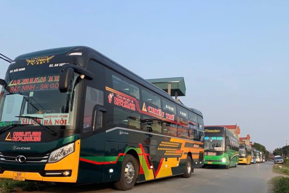 Chien The Bus 