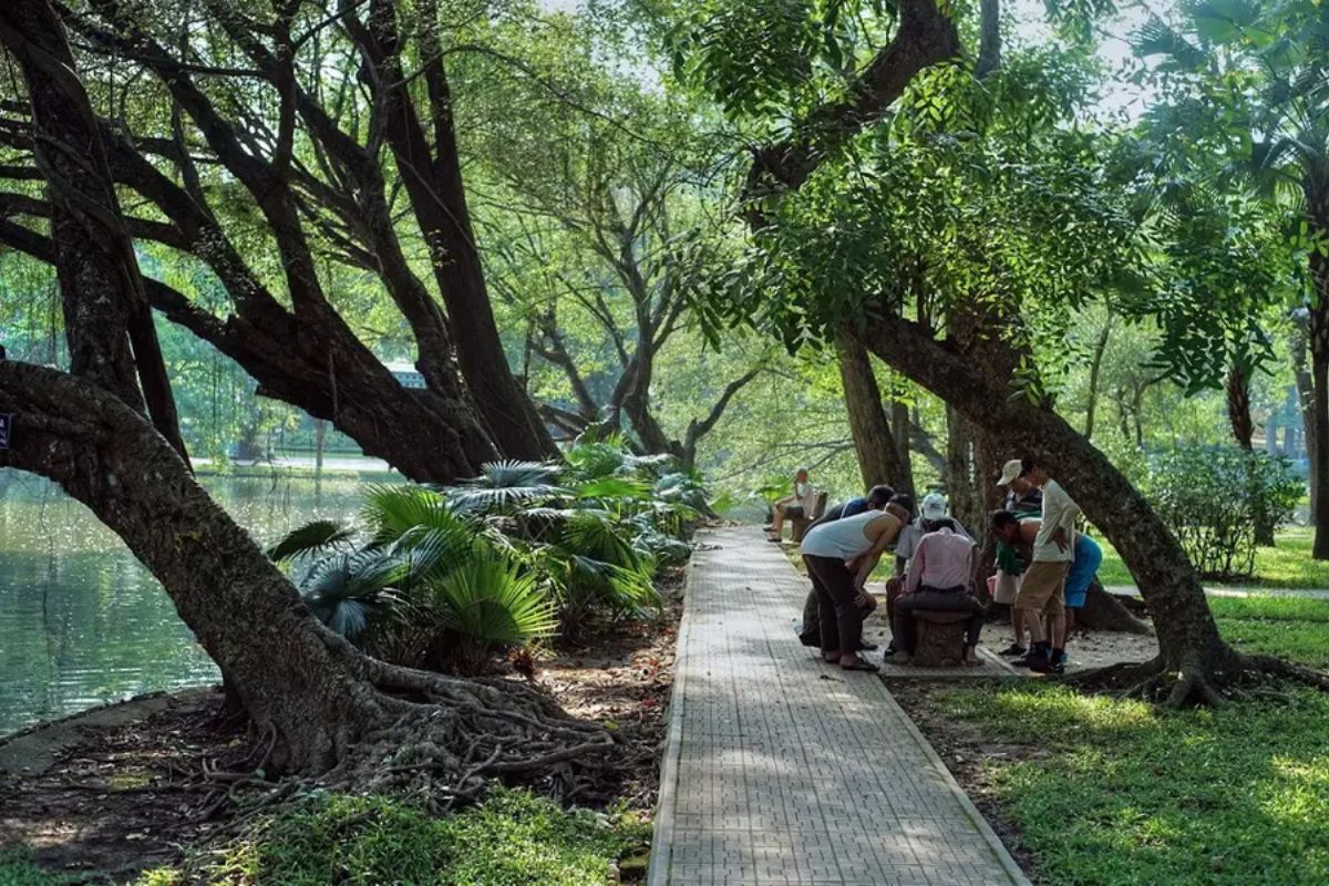 Bach Thao Park lush in rainy season